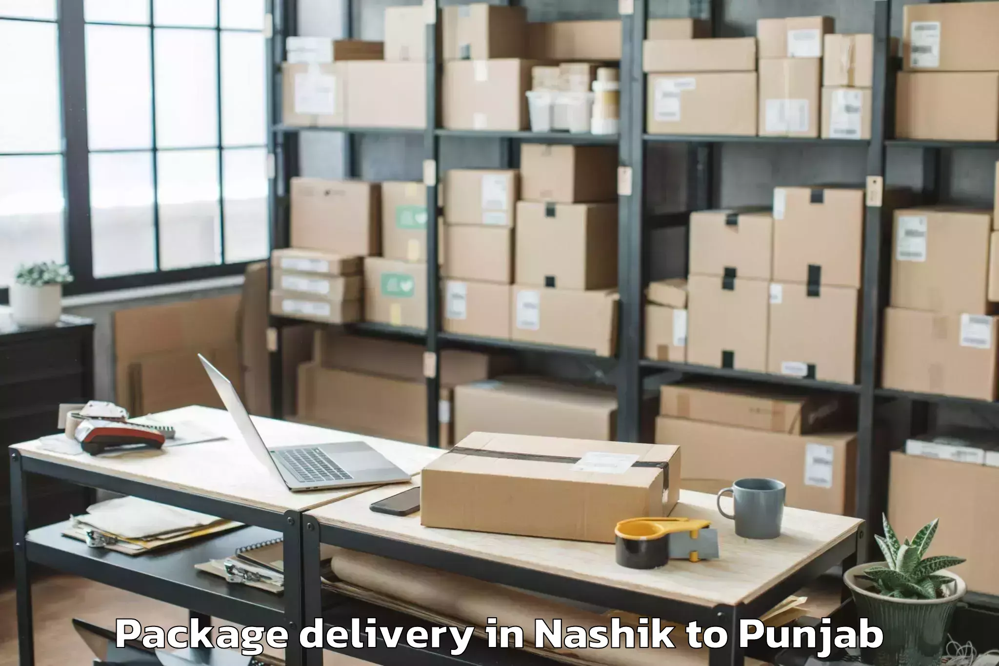 Professional Nashik to Dhanaula Package Delivery